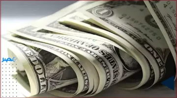 سعر الدولار مقابل الجنيه يتراجع قبل اجتماع البنك المركزي لتحديد سعر الفائدة الأربعاء 12 نوفمبر 2025